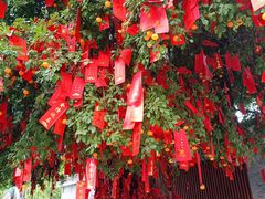 -佛山市祖庙博物馆