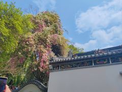 -深圳国际园林花卉博览园