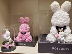 -ROSEONLY诺誓(磐基中心店)