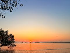 -宝安西湾红树林湿地公园