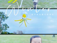 -风云岭森林公园