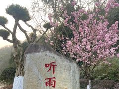 -重庆园博园