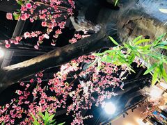 -风波庄(云蝠大厦店)