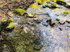 -丹东天桥沟景区