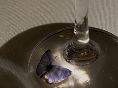 -Mogul Eatery·大亨餐酒馆