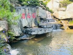 -东莞植物园