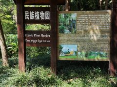 -中国科学院西双版纳热带植物园