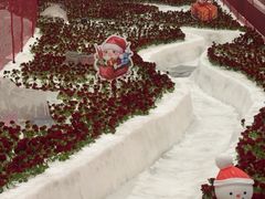 -广州热雪奇迹