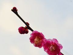 -重庆彩云湖湿地公园