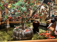 大堂-北平楼·烤鸭·北京菜(牡丹园店)