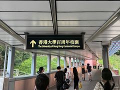 -香港大学