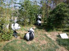 -武清南湖绿博园