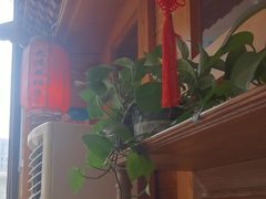 -大清花饺子(山庄店)