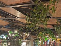 -龙抄手食府(浣花北路店)