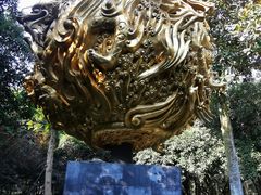 -杭州植物园
