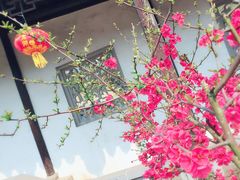 -雨花胜境