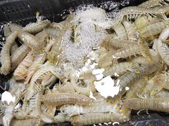 -1910老鲁味海鲜·戳子肉·青岛菜(金沙滩店)