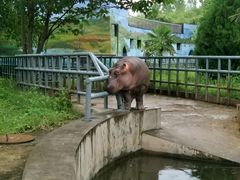 -西安秦岭野生动物园