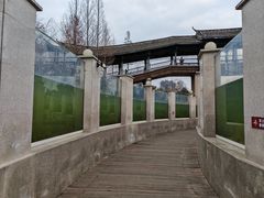 -眉山湿地公园(东坡区)