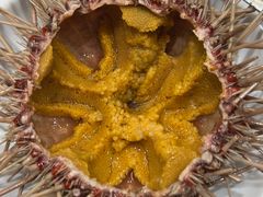 -万宝海鲜舫(劳动公园店)