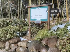 -江南天池高山汤泉城
