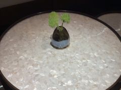 -浅深(北京北四环精品店)