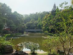 -深圳国际园林花卉博览园