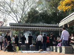 -吴淞炮台湾湿地森林公园烧烤区