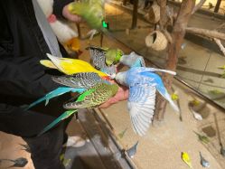 -酷嗒动物文化乐园(cutezoo西溪乐天城店)