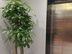 -W·24H茶楼·棋牌·掼蛋(望京店)