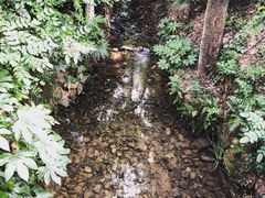 -天目湖御水温泉·度假酒店