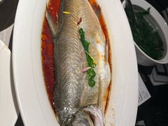 -醉庐·新上海菜(南京西路店)