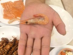 -芭菲盛宴·环球美食(袁家岗店)