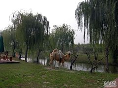 西山绿光休闲农场1-苏州太湖西山岛开心农场
