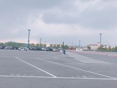 -迪士尼乐园停车场