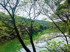 -白马涧龙池景区