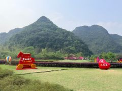 -靖西鹅泉风景区
