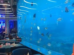 -瑞德姆美人鱼海底演艺主题餐厅(亚龙湾店)