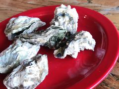 -好伦哥(温都水城店)