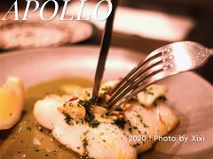 -Apollo·西班牙小酒馆(安福路店)