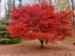 -大望京儿童游乐场