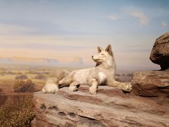 -陕西自然博物馆