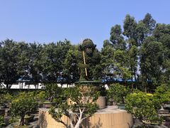-广东圆玄道观