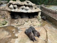 -海南热带野生动植物园