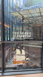 -PIPIKINGDOM皮皮王国欢乐号(欢乐海岸购物中心店)