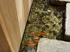 -邈墨茶馆(凤起路店)