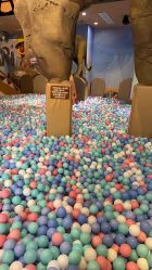 -卡通尼·Safari非洲探索乐园·生日会(金桥国际商业广场店)