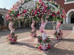 -大连海昌发现王国主题公园