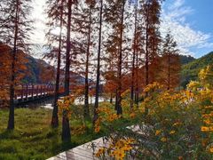 -广州市石门国家森林公园