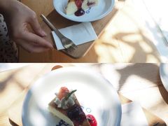 -素咫咖啡CLIFEROSE